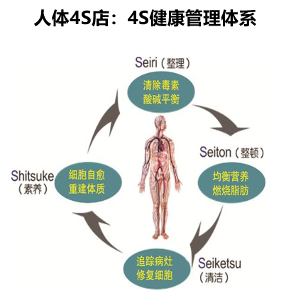 美容品牌戰略,美容連鎖品牌戰略,馨園美容品牌戰略